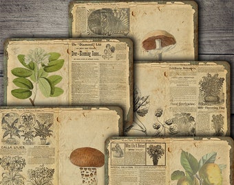 Material efímero botánico vintage: hojas para collage de diarios creativos (descarga digital)