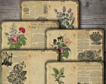 Lámina de collage botánico vintage: Material efímero para diarios creativos (Descarga digital)