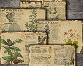 Lámina de collage botánico vintage: Material efímero para diarios creativos (Descarga digital)