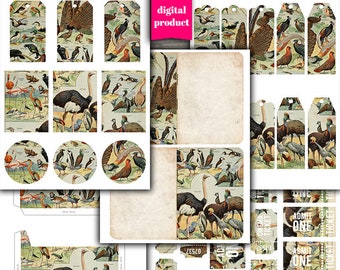 DIGITAL Vintage Bird Junk Journal Kit - Printable Vintage Birds Ephemera - VBM2622
