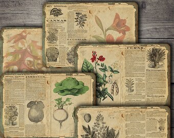 Material efímero botánico vintage: hojas para collage de diarios creativos (descarga digital)