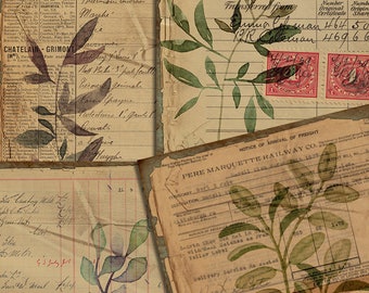 DIGITAL Vintage Botanical Junk Journal Ephemera - Digital Collage Sheet Download - VBM1880