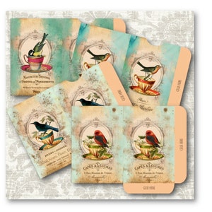 DIGITAL Bird Tea Cups Envelopes Digital Collage Sheet Download -703- Digital Paper - Instant Download Printables