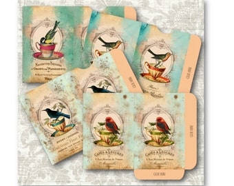 DIGITAL Bird Tea Cups Envelopes Digital Collage Sheet Download -703- Digital Paper - Instant Download Printables