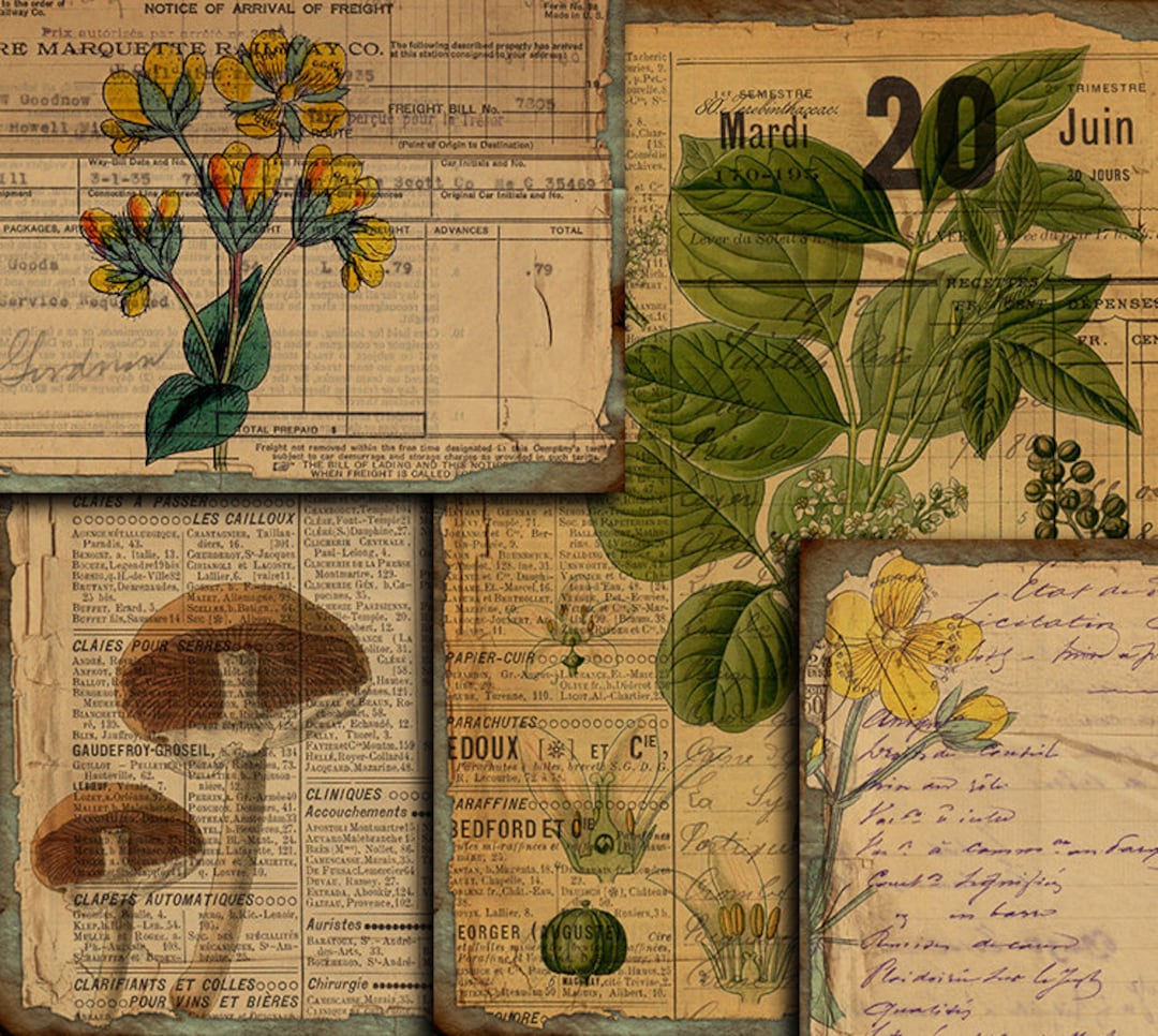 DIGITAL Vintage Botanical Junk Journal Ephemera - Digital Collage Sheet ...
