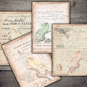 Pastel Birds Ephemera: Vintage Collage Paper (Digital Download)
