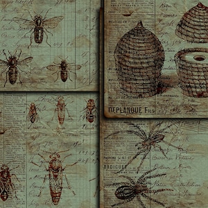 DIGITAL Grunge Insects Junk Journal Ephemera - Digital Collage Sheet Télécharger - VBM2086