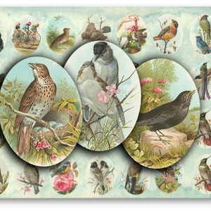 DIGITAL Vintage Birds 30 x 40mm Ovals for Jewelry Hangers - Digital Collage Sheet Download -875- Instant Download Printables DIGITAL
