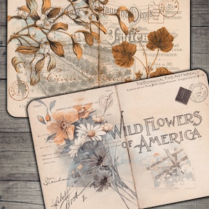 Vintage Botanical Ephemera: Junk Journal Collage Sheet (Digital Download)