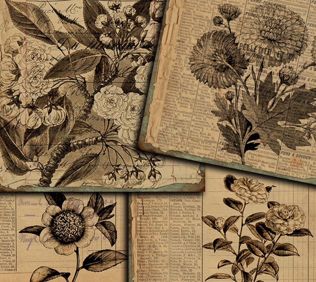 DIGITAL Vintage Botanical Junk Journal Ephemera - Digital Collage Sheet ...