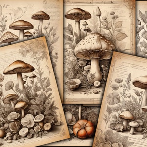 Vintage Botanicals, Mushrooms, Fungi, Herbs, Green Witch Grimoire Pages, Digital Botanical Junk Journaling Kit, Botanical Ephemera - VBM3025