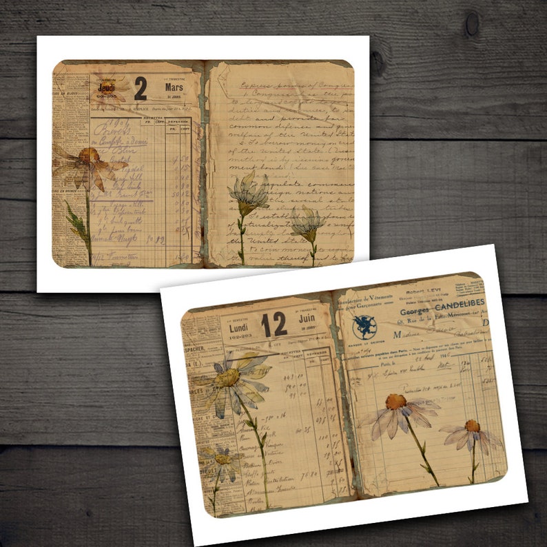 DIGITAL Printable Junk Journal Botanical Kit Vintage Digital Paper Download Printable Botanical Graphics VBM2066 image 3
