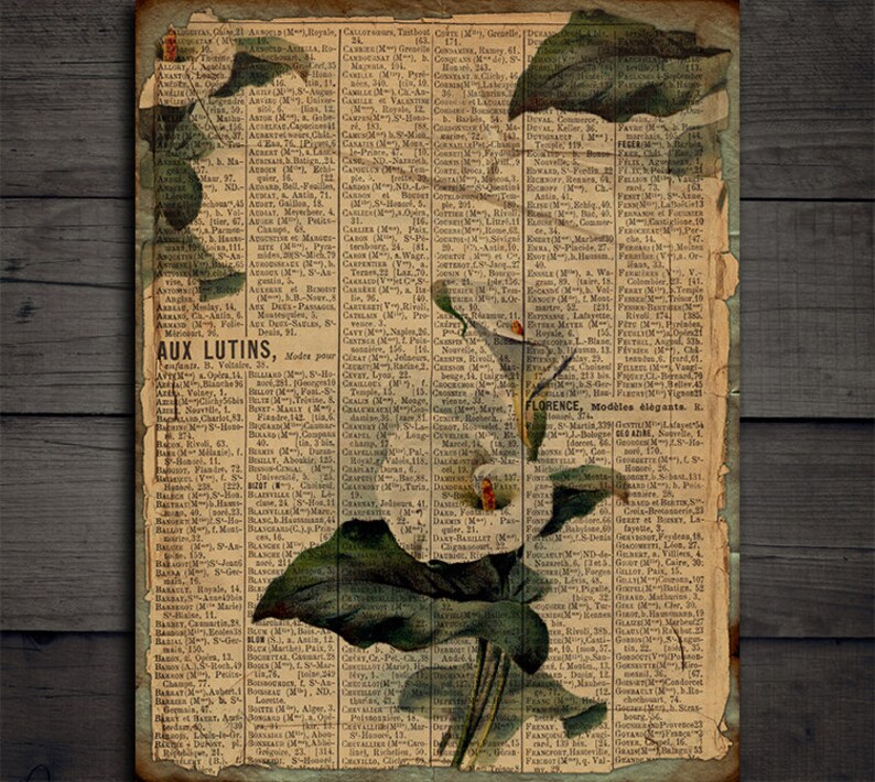 DIGITAL Vintage Botanical Junk Journal Ephemera - Digital Collage Sheet ...