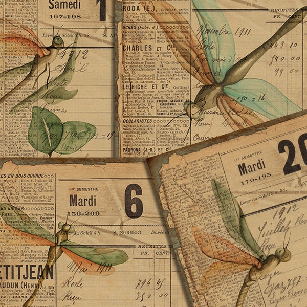 DIGITAL Vintage Dragonfly Junk Journal Ephemera - Digital Collage Sheet Download - VBM 1881