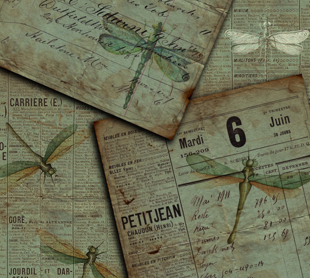 DIGITAL Vintage Grunge Dragonfly Junk Journal Ephemera - Digital ...