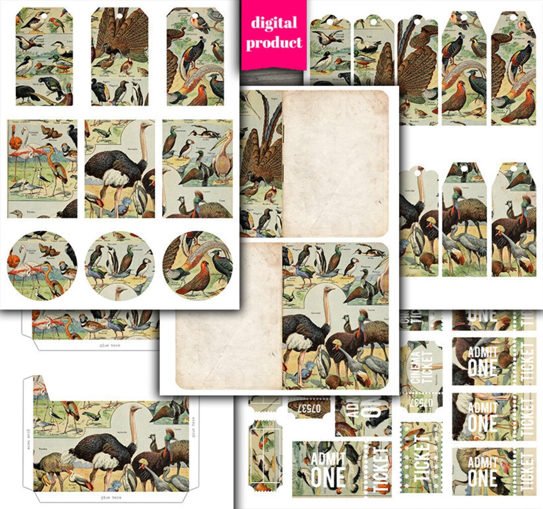 DIGITAL Vintage Bird Junk Journal Kit - Printable Vintage Birds ...