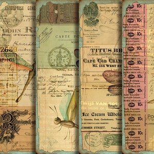 May include: A collage of vintage ephemera with a dragonfly motif. The collage includes a postcard with the text "Cape Cod Cranberries", a vintage advertisement for a soda fountain, and a handwritten note with the text "Received of".