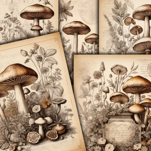 Vintage Botanicals, Mushrooms, Fungi, Herbs, Green Witch Grimoire Pages, Digital Botanical Junk Journaling Kit, Botanical Ephemera - VBM3023