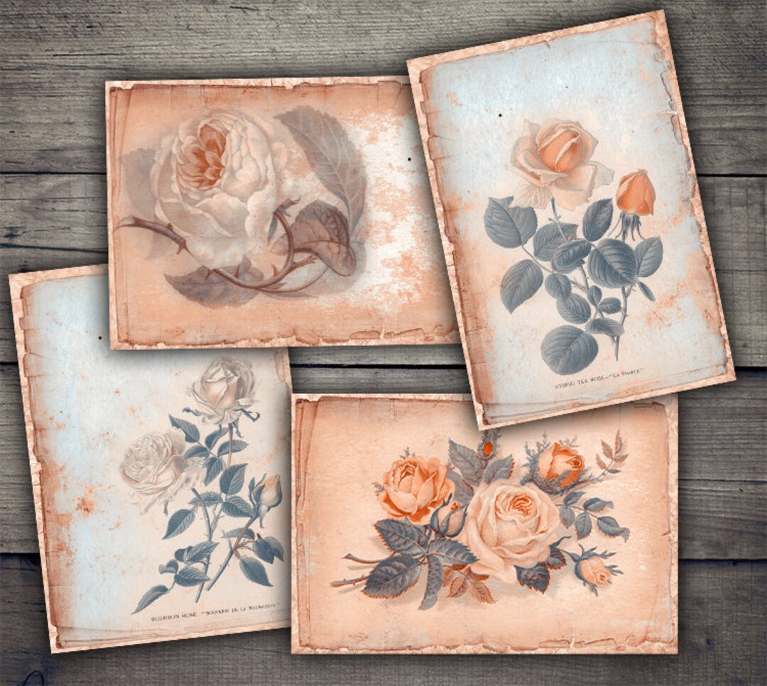 Vintage Roses Digital Papers, Grunge Backgrounds, Floral Papers, Junk ...