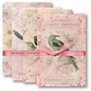 DIGITAL Bird Carte Postale Digital Collage Sheet Download -461- Digital Paper - Instant Download Printables