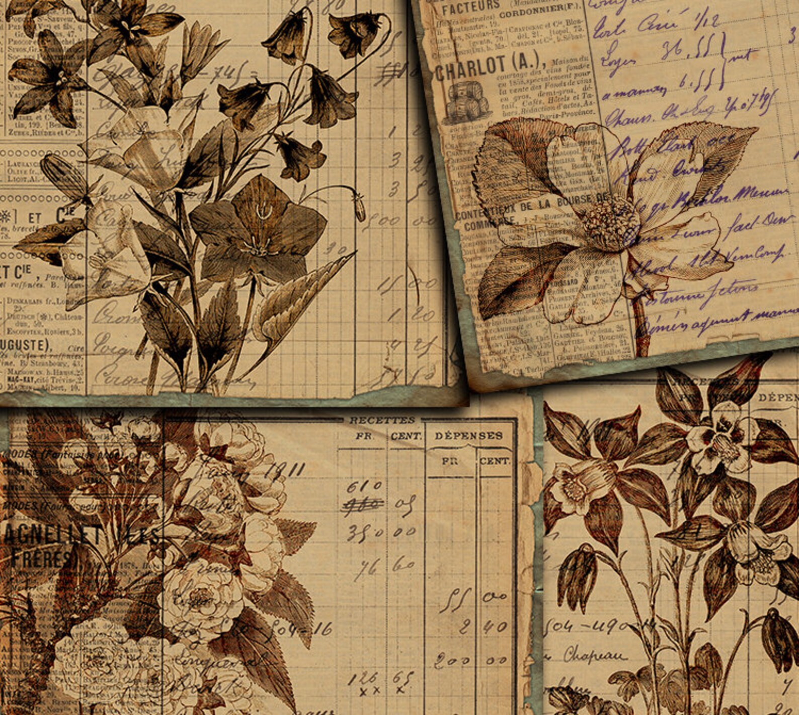 DIGITAL Vintage Botanical Junk Journal Ephemera - Digital Collage Sheet ...