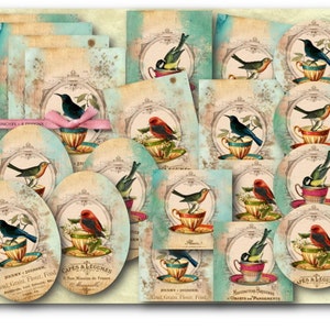 DIGITAL Bird Tea Cups Digital Collage Sheet Télécharger - 798 - Papier numérique - Instant Download Printables