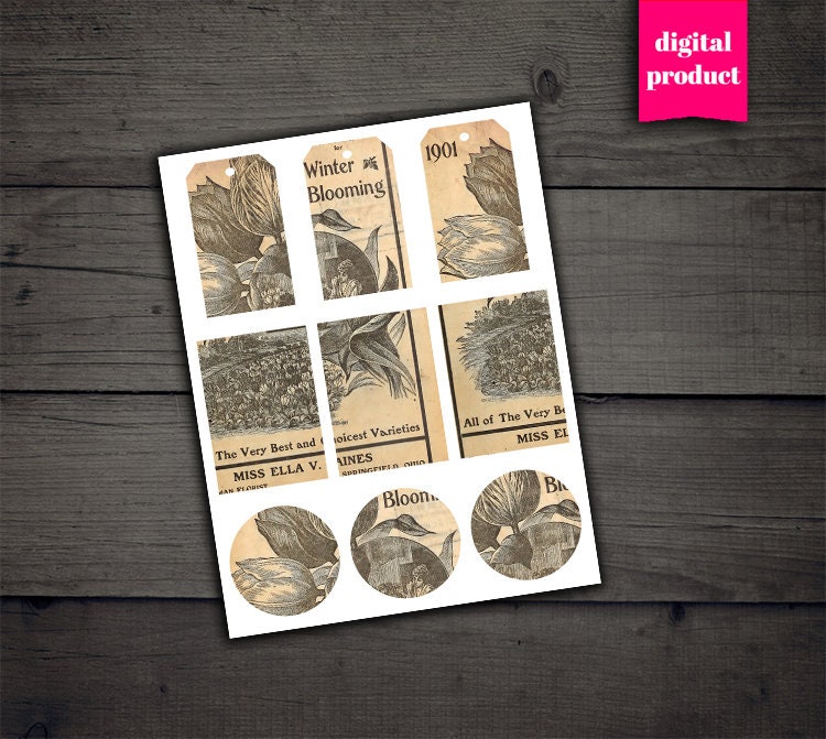 DIGITAL Vintage Botiquín Botánico Desmabo Efeméride Botánica | Etsy