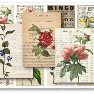 Etiquetas de efímeras botánicas: Hoja de collage digital (descarga digital)