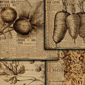 DIGITAL Vintage Botanical Junk Journal Ephemera - Digital Collage Sheet Download - VBM2080