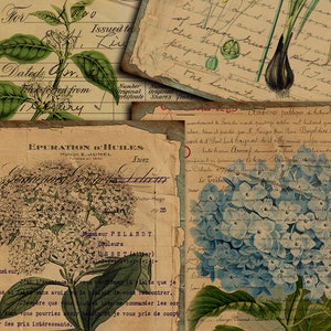 DIGITAL Vintage Botanical Junk Journal Ephemera - Digital Collage Sheet Download - VBM2081