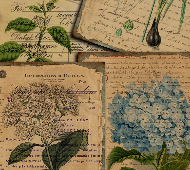 DIGITAL Vintage Botanical Junk Journal Ephemera - Digital Collage Sheet ...