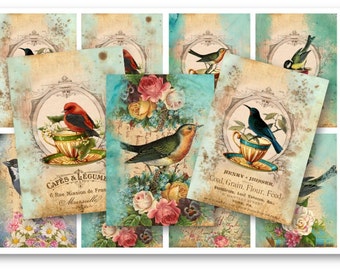 DIGITAL Digital Images - Digital Collage Sheet Download - Bird Tea Cup Tags -  700  - Digital Paper - Instant Download Printables