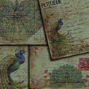 DIGITAL Vintage Grunge Peacock Junk Journal Ephemera - Digital Collage Sheet Download - VBM1936