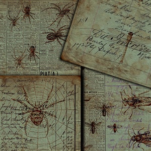 DIGITAL Grunge Insects Junk Journal Ephemera - Digital Collage Sheet Télécharger - VBM2087