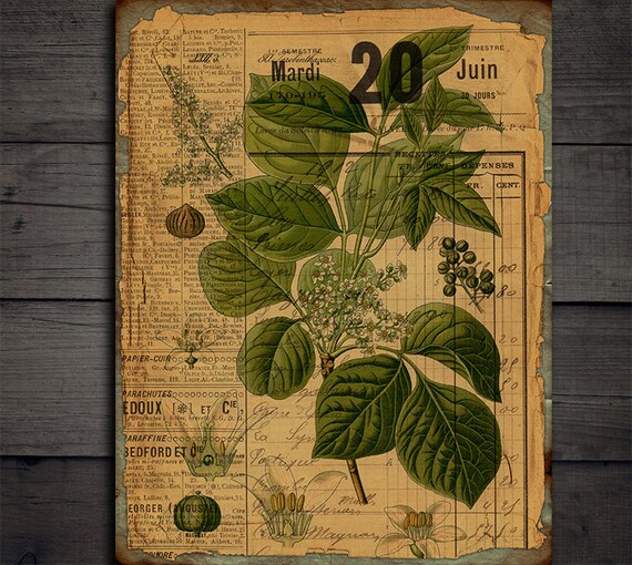 Junkjournal*『』 il_fullxfull.2521980893_3bgg.jpg