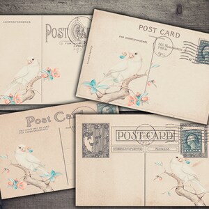 DIGITAL vintage Postcards with Birds - Digital Collage Sheet Download - Papiers numériques