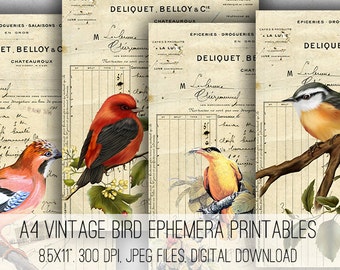 Vintage Bird Ephemera Collage Sheets: Printable Designs (Digital Download)