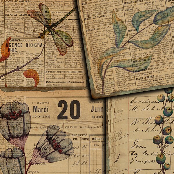 DIGITAL Vintage Dragonfly Junk Journal Ephemera - Digital Collage Sheet Download - VBM 1920