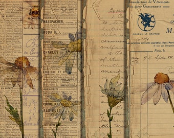 DIGITAL Vintage Botanical Junk Journal Ephemera - Digital Collage Sheet Download - VBM1894