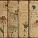 DIGITAL Vintage Botanical Junk Journal Ephemera - Digital Collage Sheet Download - VBM1894