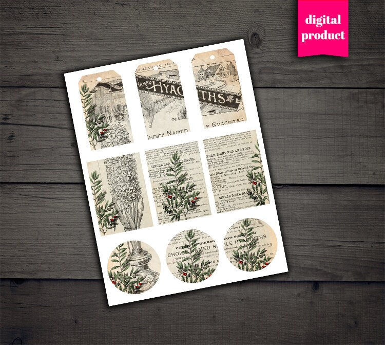 DIGITAL Vintage Botiquín Botánico Desmabo Efeméride Botánica | Etsy