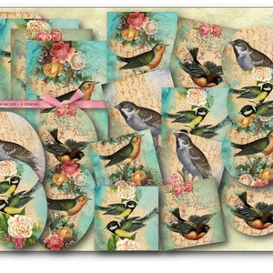 DIGITAL Birds & Flowers Paper Kit - Digital Collage Sheet Download - 797 - Digital Paper - Instant Download Printables