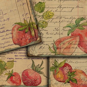 DIGITAL Vintage Botanical Printable Junk Journal Ephemera - Digital Paper Download - VBM2026