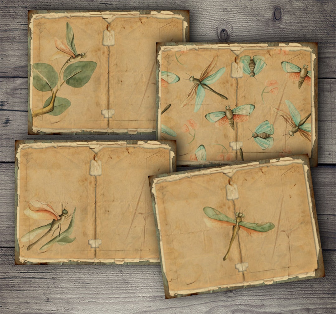 Dragonfly Junk Journal Pages: Printable Vintage Graphics (digital ...