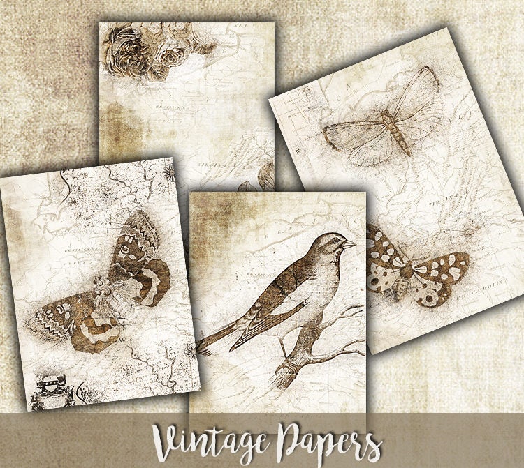 Colagem de objetos efêmeros vintage: papel digital de borboletas e pássaros (download digital)