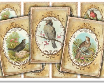 DIGITAL Vintage Birds Tags Digital Collage Sheet Download 916 - Instant Download Printables