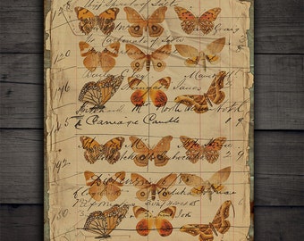 Decopatch Paper Sheet: 792 Decopatch Paper Sheet: 792