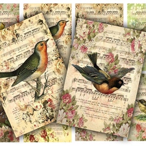 Collage numérique de partitions pour oiseaux : étiquettes imprimables (téléchargement numérique)