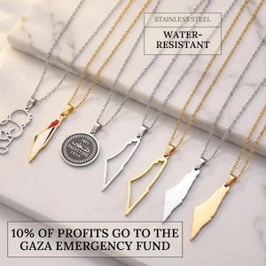 Può includere: Una collezione di collane in acciaio inossidabile con ciondoli in vari design, tra cui il contorno di un paese, una bandiera e un emblema circolare. Le collane sono di colore oro e argento. Il testo "STAINLESS STEEL WATER-RESISTANT" è visibile.