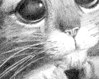 ORIGINAL PUSS in BOOTS pencil drawing
